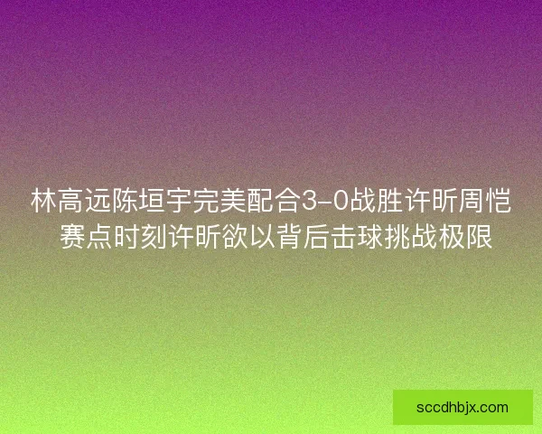 林高远陈垣宇完美配合3-0战胜许昕周恺 赛点时刻许昕欲以背后击球挑战极限