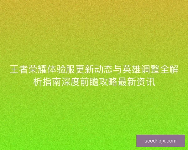 王者荣耀体验服更新动态与英雄调整全解析指南深度前瞻攻略最新资讯