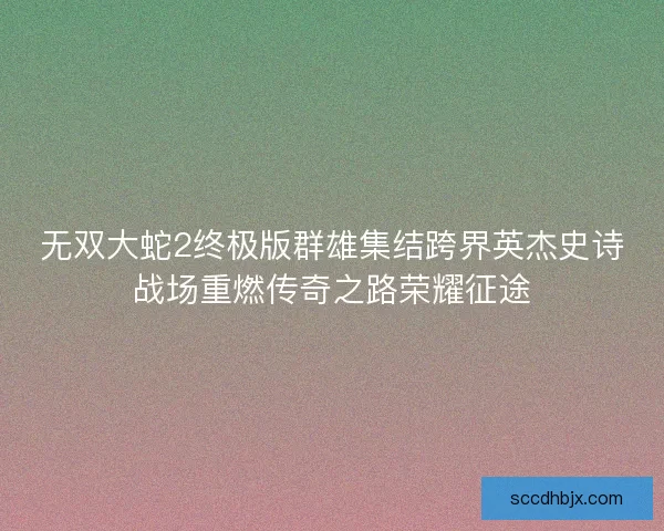 无双大蛇2终极版群雄集结跨界英杰史诗战场重燃传奇之路荣耀征途